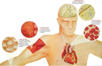 /album/galeria-de-fotos/a44-jpg/